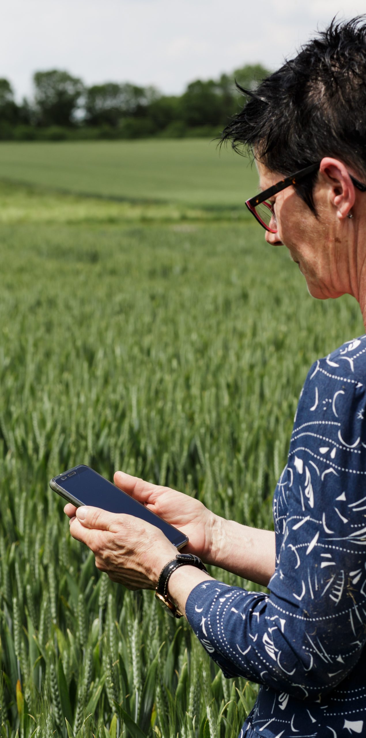 qui sommes nous simplicite right