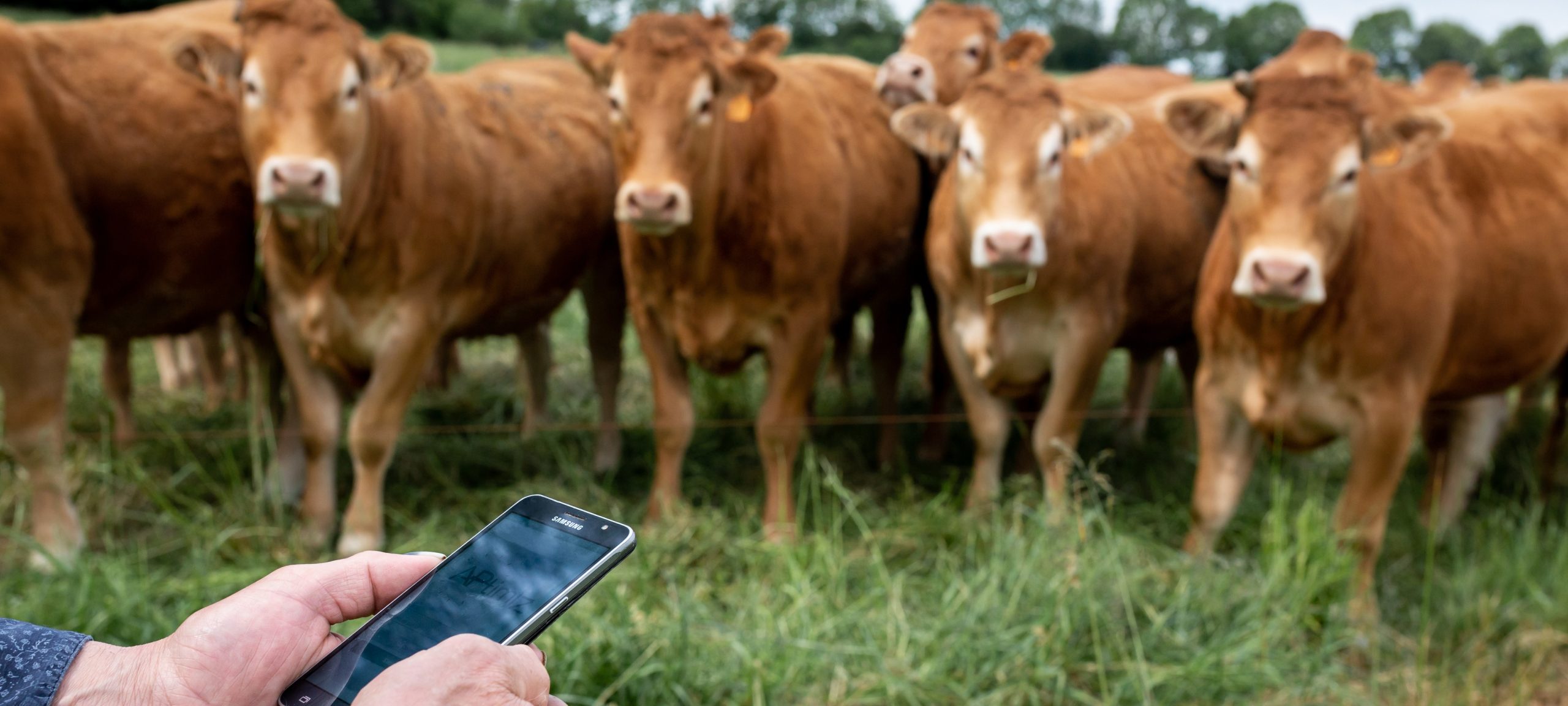 qui sommes nous simplicite top