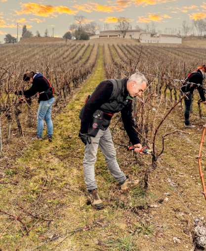 taille connectee reference 1x