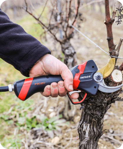 gestion-travaux-taille