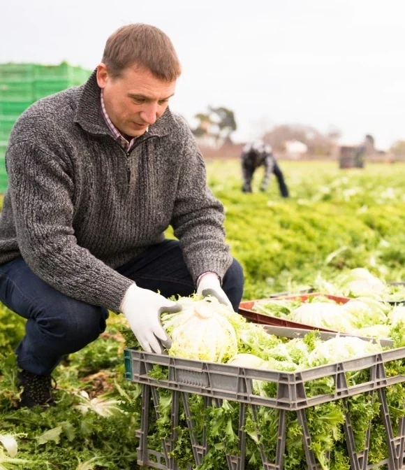 solution-suivi-temps-maraicher