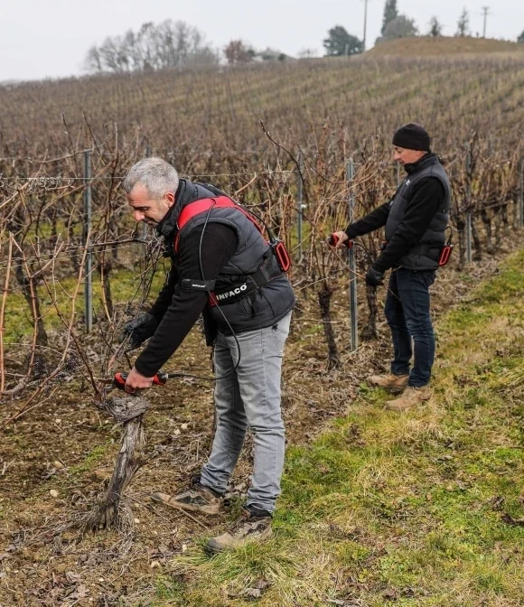 solution-suivi-temps-viticulteur