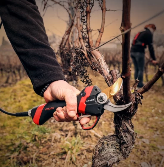 taille connectee aptimiz infaco